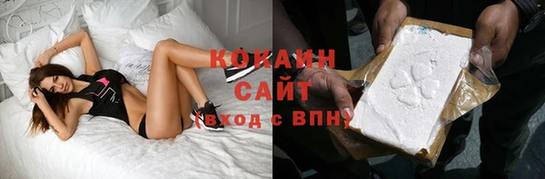 сатива Богородицк