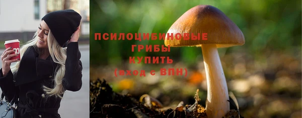 каннабис Белокуриха