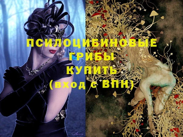 сатива Богородицк