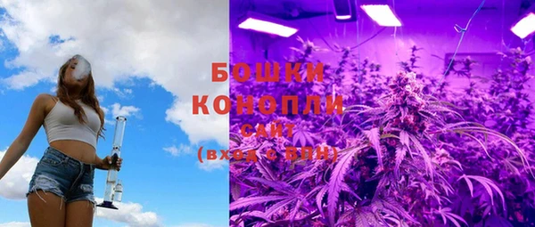ПСИЛОЦИБИНОВЫЕ ГРИБЫ Покров