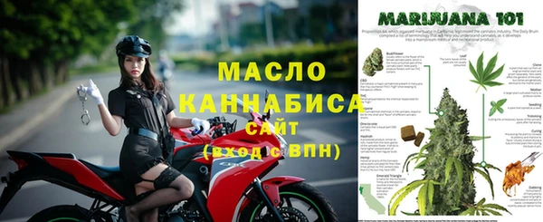 сатива Богородицк