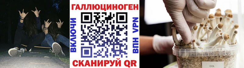 мориарти какой сайт  Кстово  Галлюциногенные грибы MAGIC MUSHROOMS 